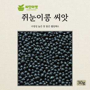 다농 쥐눈이콩 서목태 씨앗 30g, 1개