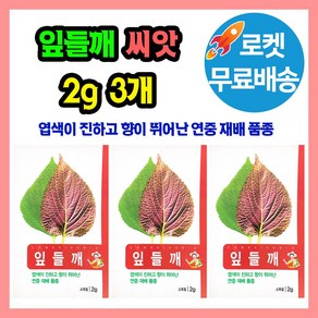 잎들깨 깻잎 씨앗 (합6g) 종자 씨, 3개