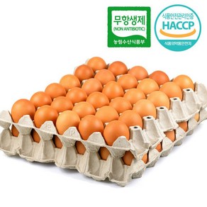 유통연구소 HACCP 인증 맥반석 구운계란 대란 60구, 1개
