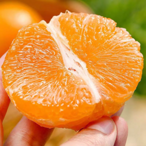 [가성비 끝판왕!] 꿀Bix 제주 못난이카라향, 1개, 1.8kg (혼합)