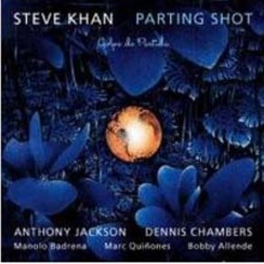 Steve Khan - Pating Shot 유럽수입반, 1CD