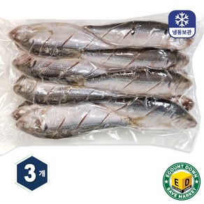 자연산 가을 전어 구이용 내장제거 칼집 (12~16미), 3개, 1kg