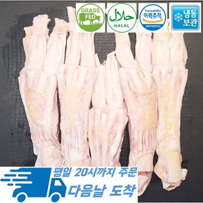 [행복미트] 목초육 스지 할랄인증 알스지 곰탕용 도가니탕용 앞스지 1kg [당일발송]