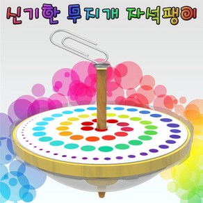 과학신기한 무지개 자석팽이-10인용-ZHG