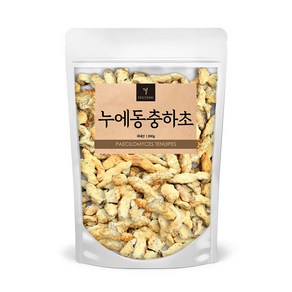 퓨어영 누에동충하초 200g 국내산, 1개