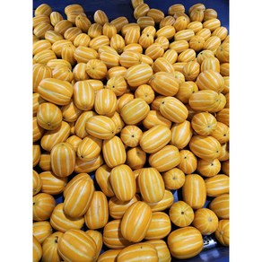 [가성비] 실속 못난이? 맛난이 성주 참외 특가전, 1개, 2kg(랜덤과)
