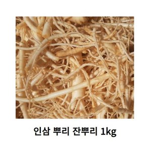 대용량 인삼뿌리 1kg 미삼 세척인삼 잔뿌리인삼 1kg