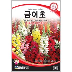 금어초 500립 /관상용 텃밭 키우기 꽃씨 종자 씨앗 snap dragon seeds + 서비스 씨앗 증정