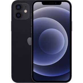 Apple 아이폰 12 자급제, 128GB, 블랙