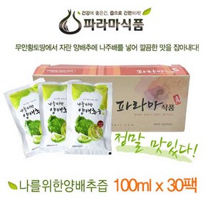 무안황토 나를 위한 양배추즙 100ml * 30팩, 30개