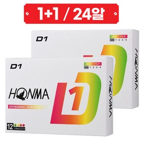 혼마코리아 HONMA 2024 D1 비거리 골프공 2더즌 24구, 1개, 24개입, 멀티컬러