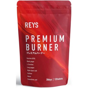 REYS 레이즈 BURNER 프리미엄 버너 120정 (사용 기준 약 30회분) 야마자와 레이아키 감수 8가지 엄선 성분 함유 가르니시아(HCA) 블랙진저 카르니틴 히, 1개