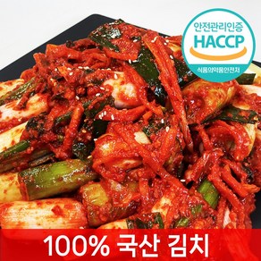 [전라도찐맛] 당일제조 대파김치, 1개, 1kg