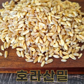 전남 무안 24년산 국산 호라산밀 4kg 카무트쌀 카뮤트, 1개