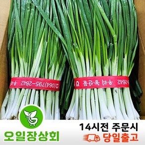 국내산 깐쪽파 1kg내외, 1개, 1kg내외(1단)