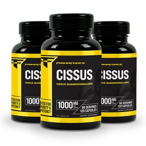 프리마포스 시서스 Cissus 1000mg 120캡슐 3병, 120정, 3개