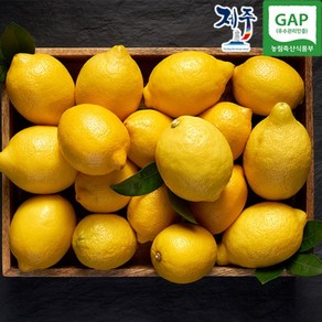 제주 GAP 인증 제주레몬, 2.5kg × GAP 인증 제주 레몬 2.5kg ×