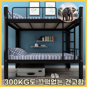 융손가구 2층침대 벙커 캡슐 성인 철제프레임, 화이트 프레임