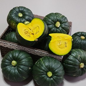 [띠앗농장]제주 미니 밤호박 미니 단호박(보우짱), 5kg (못난이), 1박스