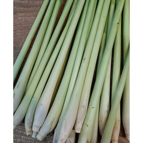 [향신료]샤 다까이 레몬그라스 LEMONGRASS 1KG WORLDFOOD