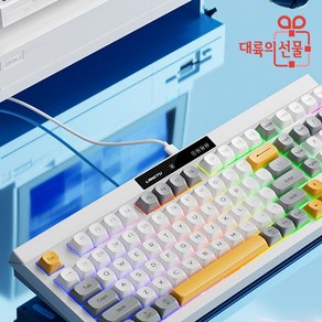 LANGTU L102 랑투 유선 키보드 RGB 102키 사무용 키보드, 제조사축, 옐로우