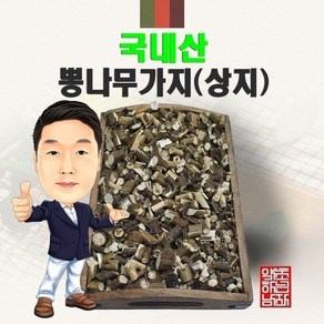 국내산 뽕나무가지(상지) 100g (경북영천) 국산, 1개