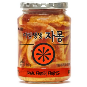 녹차원 아임생생 자몽 550g 녹차/홍차/아이스티/코코아, 1개