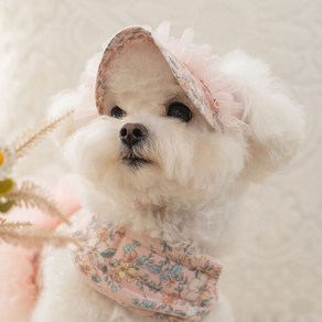 베일리 강아지 고양이 선캡 여름 애견모자 반려견산책용 에블린 썬캡