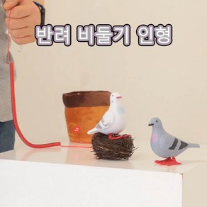 내친구 반려 애완 비둘기 세트 인테리어 장식 쓸모없는 선물 6옵션 [Dove Pet Set Funny Useless Item Gift 6 Options], 화이트(White), 산책세트(Lead Rope Set)