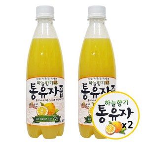 무농약 갈아만든유자청 유자에이드 유자드레싱 500ml 2병, 2개