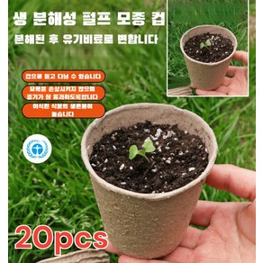 1/1+1친환경 생물 분해성 페트 화분20pcs 다육이화분 생분해성 화분 모종판 육묘 트레이, 스몰 6x6cm20pcsx1