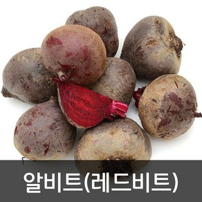 약수농장 국내산 레드비트 알비트 5kg 10kg