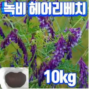 헤어리베치 씨앗 10kg - 토양 개량 질소고정 녹비종자