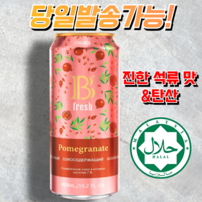 할랄 비 프레쉬 진한 석류 맛 B FRESH POMEGRANATE 우즈벡 탄산음료, 1개, 450ml