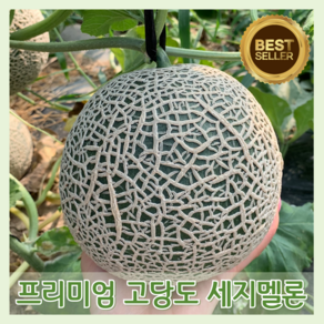 [다정한과일] 최고당도 프리미엄 로얄과 멜론, 1박스, 세지멜론 로얄과 3.5kg 이상 (2수)