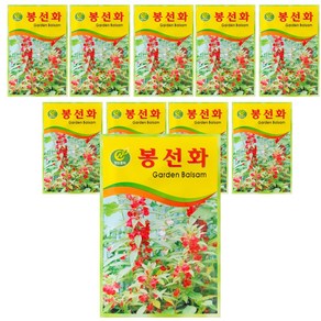 청농 꽃씨 봉선화 꽃 씨앗 50립, 10개