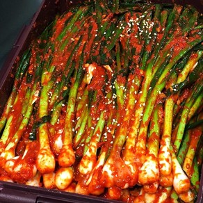 [더본촌] 단골 많은 국산 100% 전라도 파김치 쪽파김치, 1개, 2kg