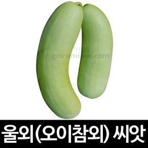 울외 씨앗 오이 참외 씨앗 채소씨앗 야채 종자 20알, 1개