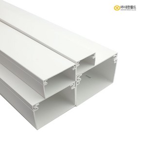 대한몰드 PVC 랜덕트 랜닥트 전선정리 선정리 몰드 쫄대 100 X 80, 1개