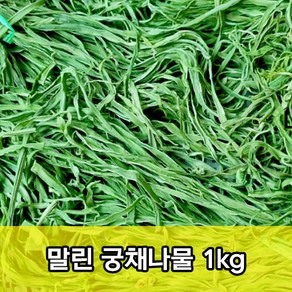 말린 궁채나물 500g 1kg 진공포장 줄기상추 상추대나물 건궁채 마른 궁채나물 건조 궁채나물 궁채 상추대 궁채장아찌 줄기상추, 1개, 마른궁채500g