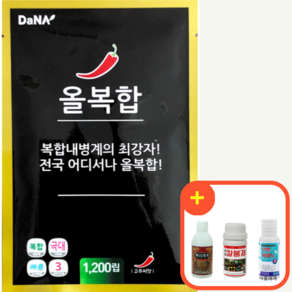 고추씨앗 올복합 고추 종자 1200립 다나종묘, 1개