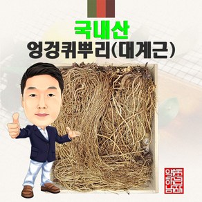 국내산 엉겅퀴뿌리(대계근) 500g (경북 영천) 국산, 1개