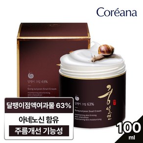 코리아나 궁설연 달팽이크림 스네일크림 100ml 달팽이점액여과물 63% 함유 주름개선 기능성, 1개