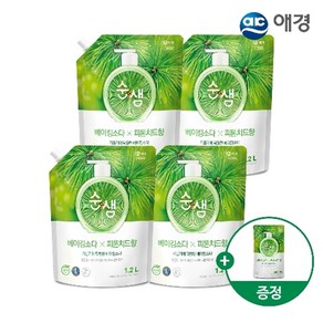 순샘 [애경] 주방세제 리필 1.2L X 4개+200ml 증정 (베이킹소다피톤치드/구연산자몽 택1), 베이킹소다 피톤치드, 4개