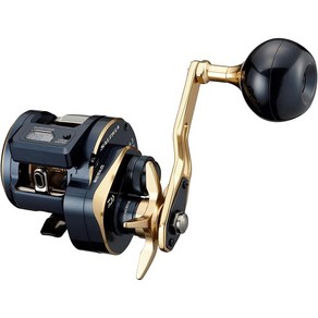 다이와 (DAIWA) 21 솔티가 IC 300L, 300L(left handle)