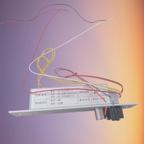 데드볼트 도어락 DBL-1000S, 1개