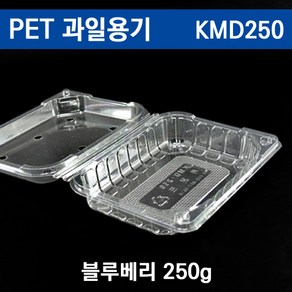 과일포장용기 블루베리용기 산딸기포장 KMD250 / 500개