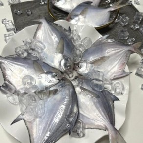 [산들바다] 생물 횟감용 병어 1KG 냉장포장, 1박스