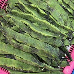 [금성식품] 중국야채 볶음용 싱싱채당콩 일점홍 500g, 1개