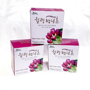 제주 백년초 열매 엑기스 (열매즙) 100ml * 30포, 1개, 3L